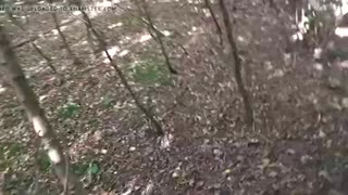 Slut Wife Hooded in Forest and Fucked 1