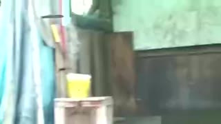 Old farmer wife takes the hard cock in the backyard