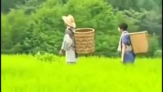 Excellent adult movie Blow Jobs newest uncut