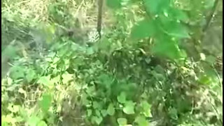 Husband Helps Asian Wife With Grandpa Lover Outdoors