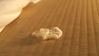 Hot japonese and stepson 04900