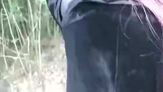 Chinese MILF in a Public Park