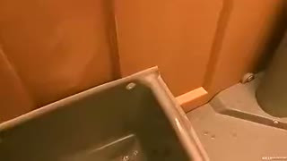 Parks and Recreation - Starring: Kelly Madison